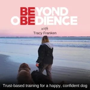 Beyond Obedience, Dog Training Podcast