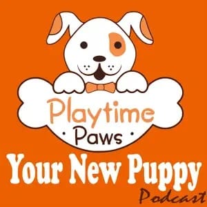 Your New Puppy | Dog Training Podcast